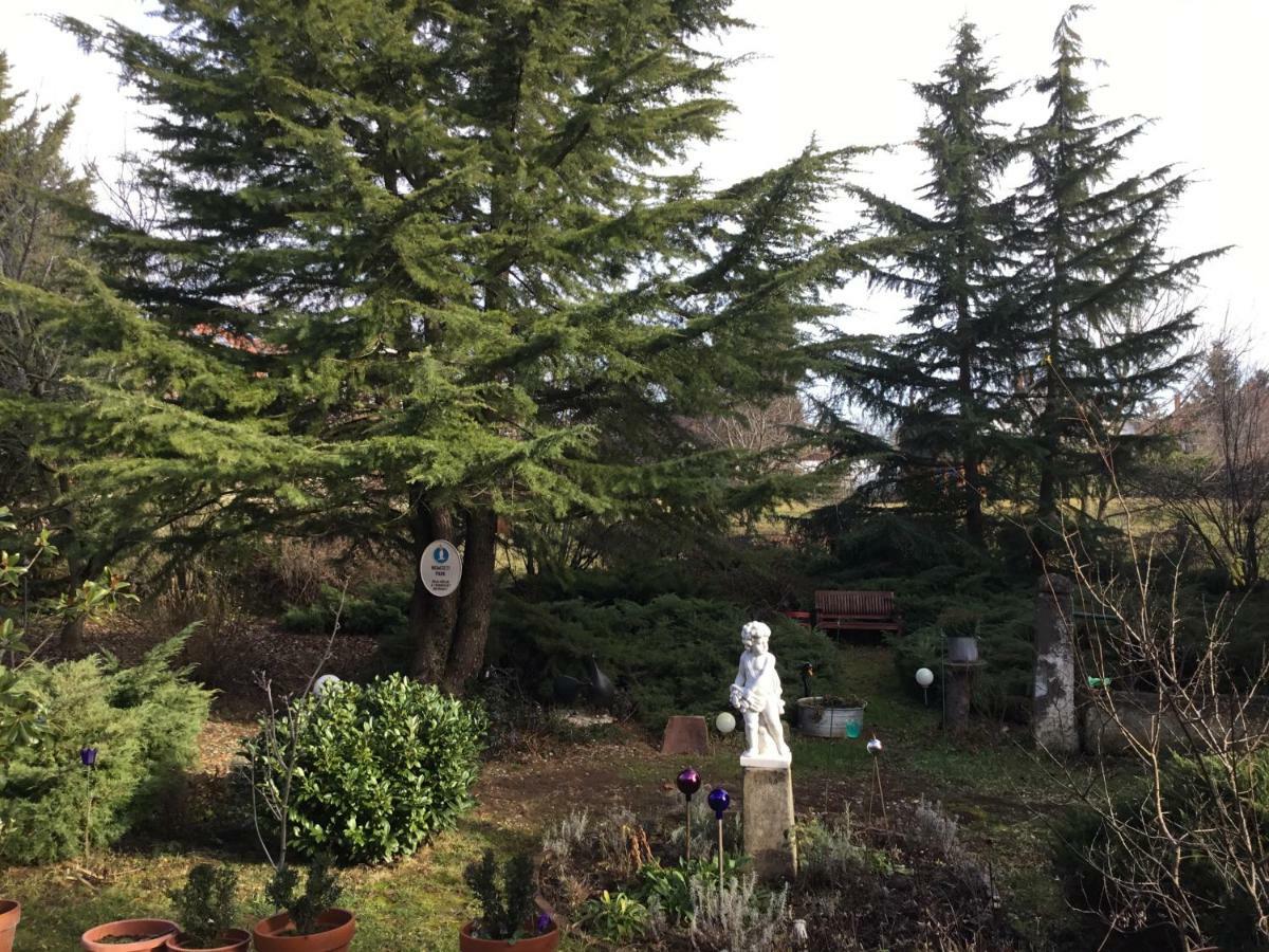 Villa-Magdi Vendeghaz Révfülöp Екстериор снимка
